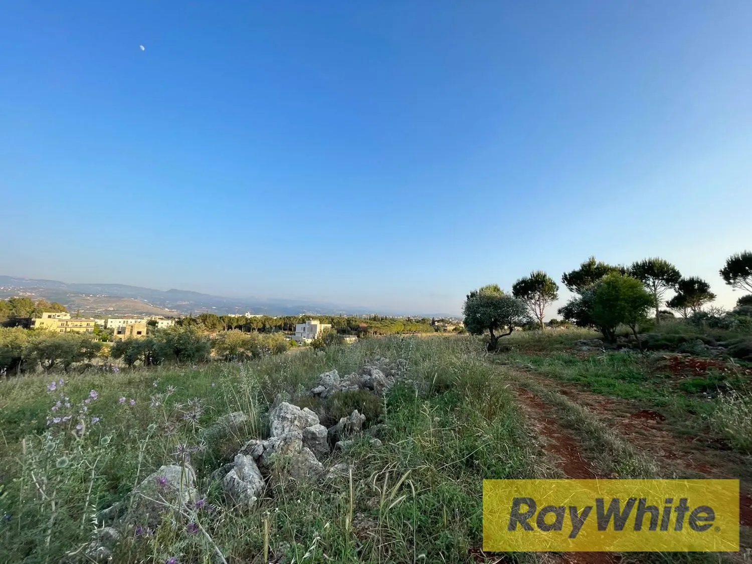 Land For Sale In Bechmezzine Koura — الصورة 4