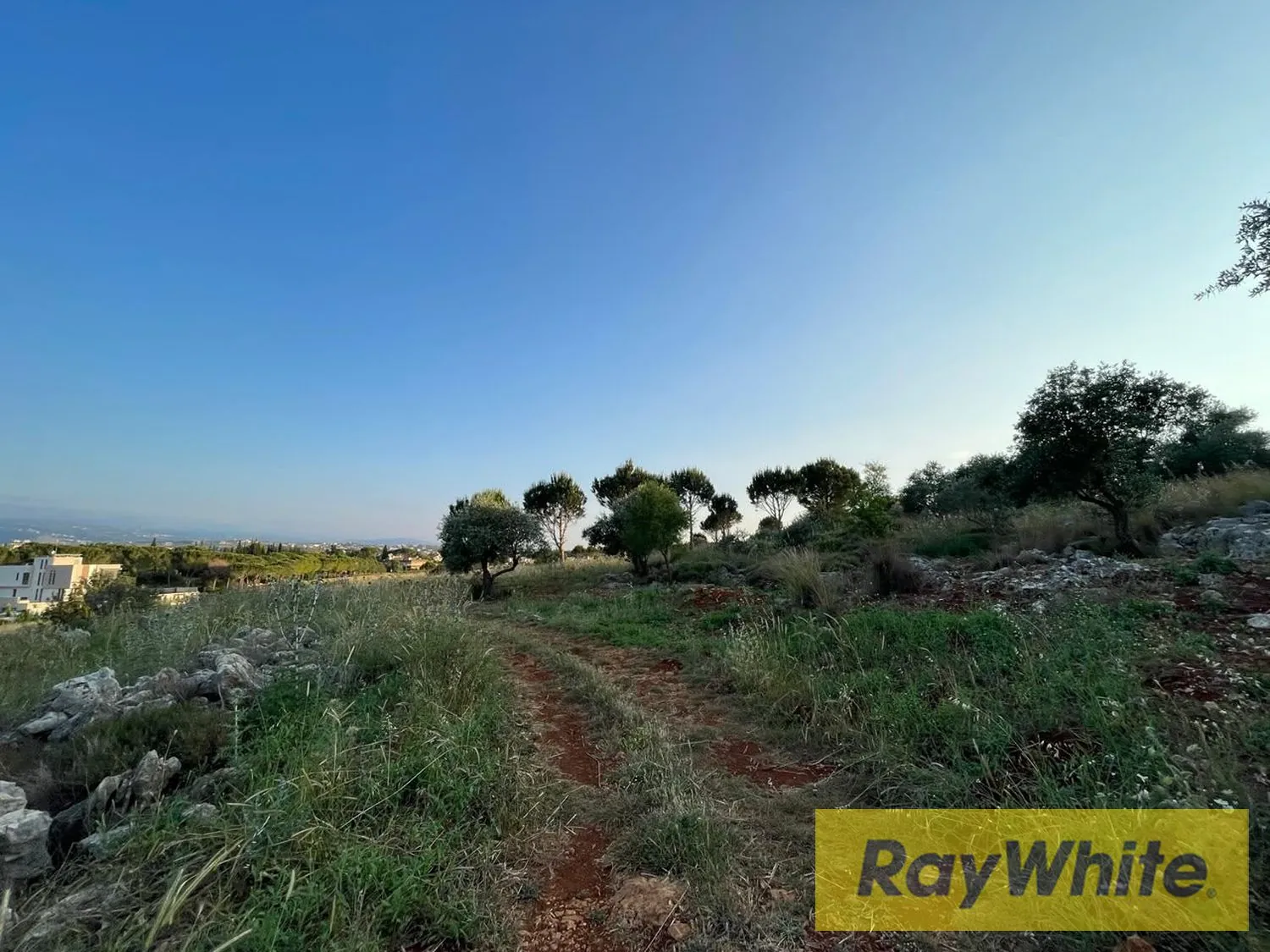 Land For Sale In Bechmezzine Koura — الصورة 5