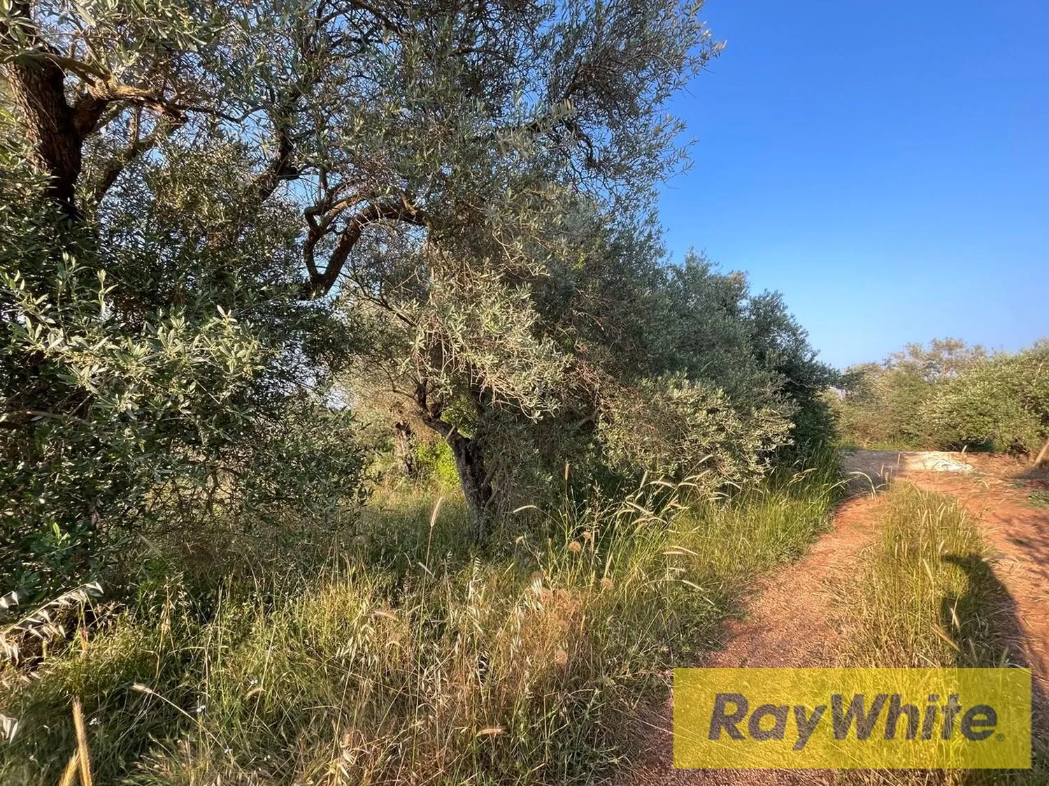 Land For Rent In Bterram Koura