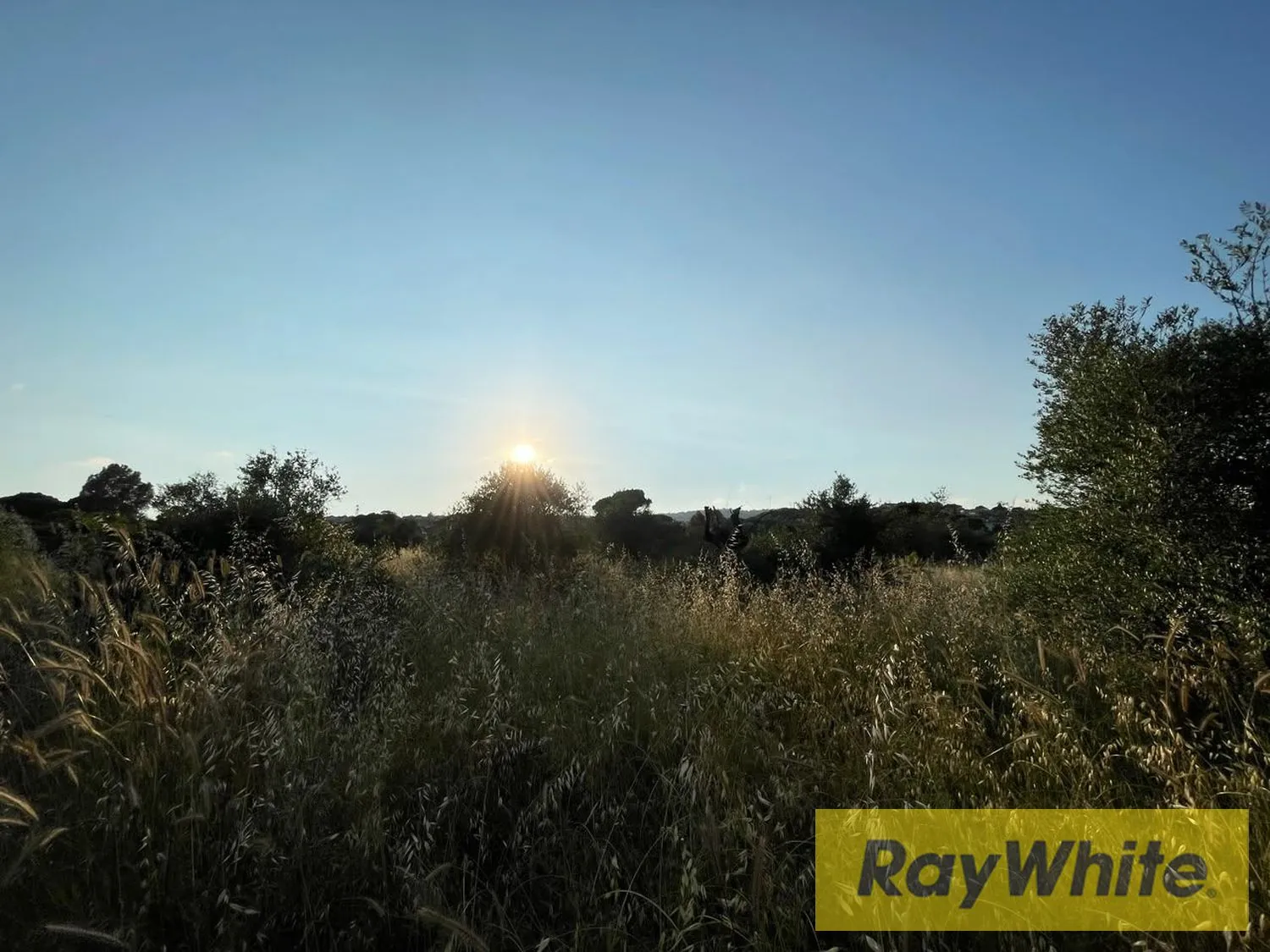 Land For Rent In Bterram Koura — الصورة 2