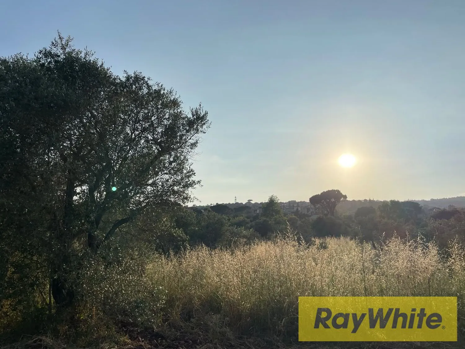 Land For Rent In Bterram Koura — الصورة 3