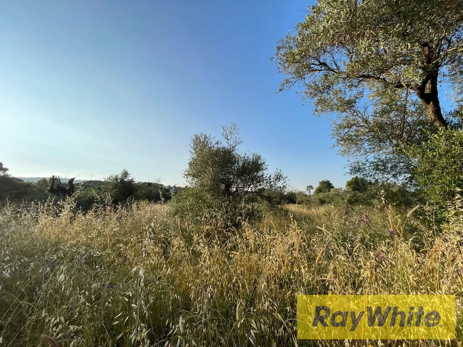 Land For Rent In Bterram Koura — الصورة 4