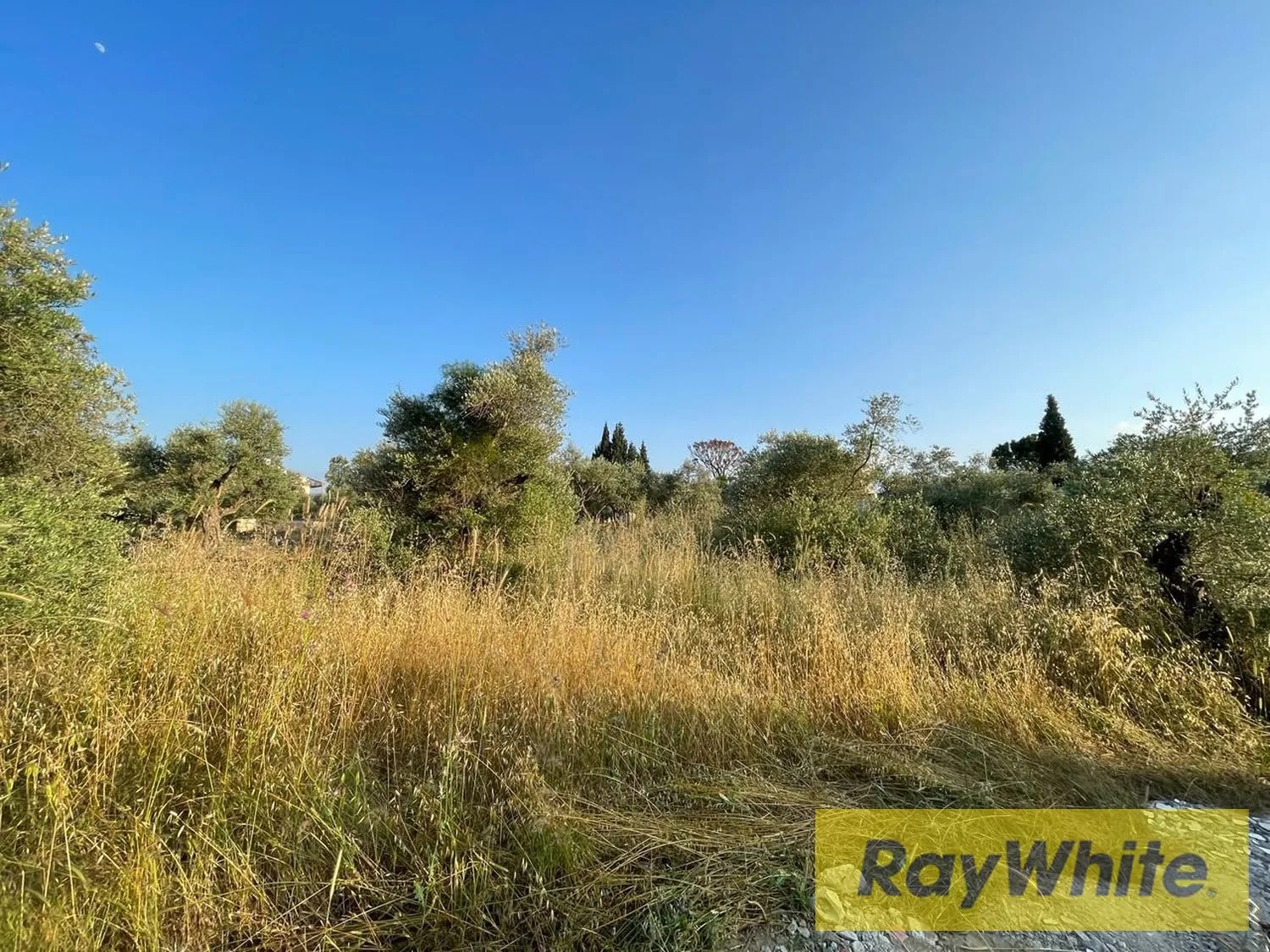 Land For Rent In Bterram Koura — الصورة 5