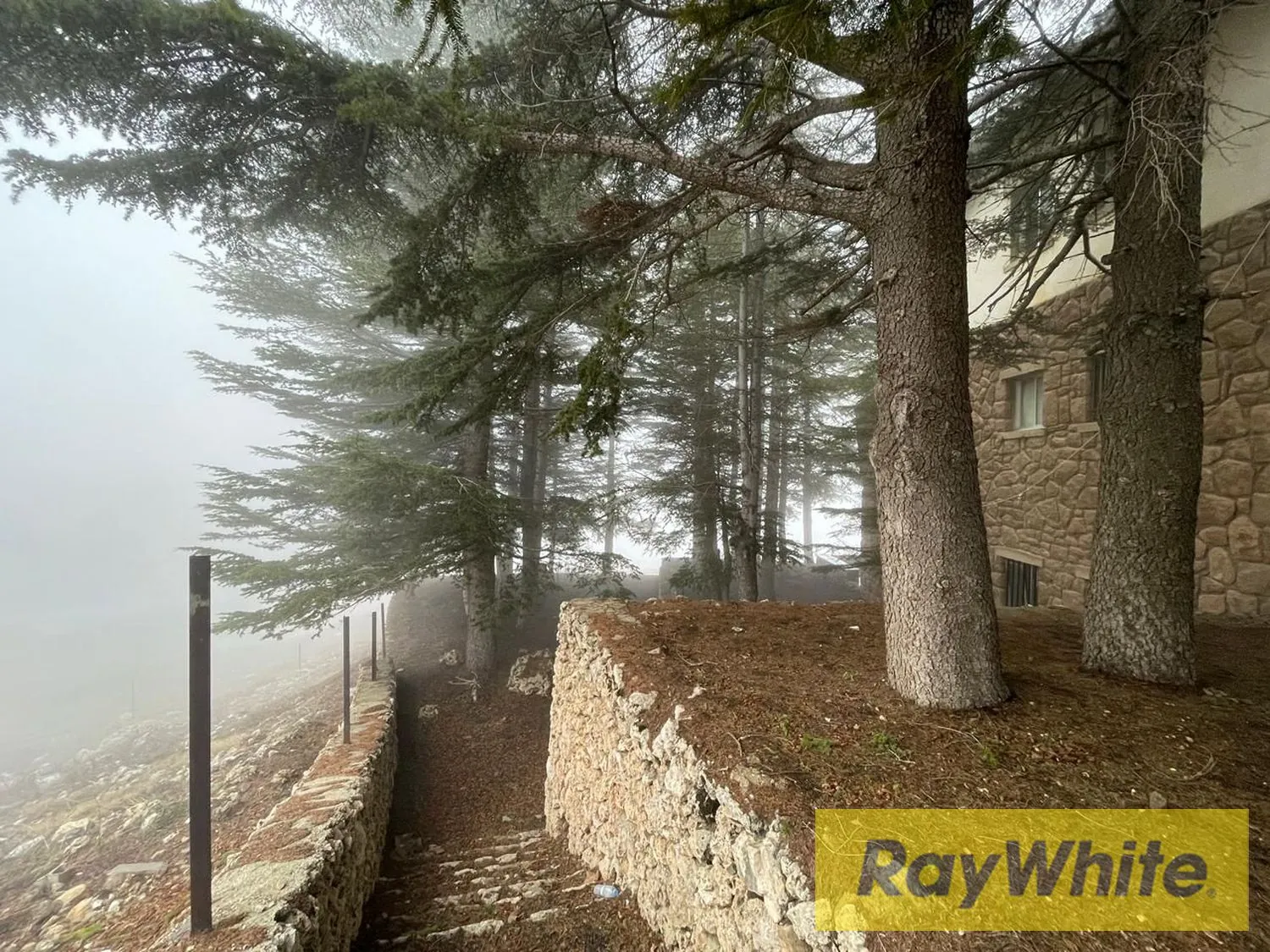 Chalet For Rent In Arz Becharreh