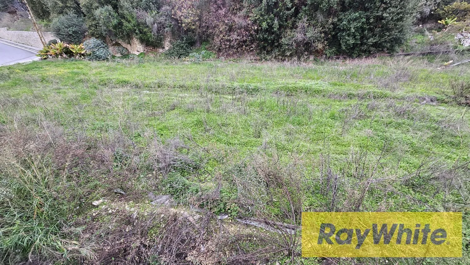 Prime Location Land For Sale In Safra With Sea View