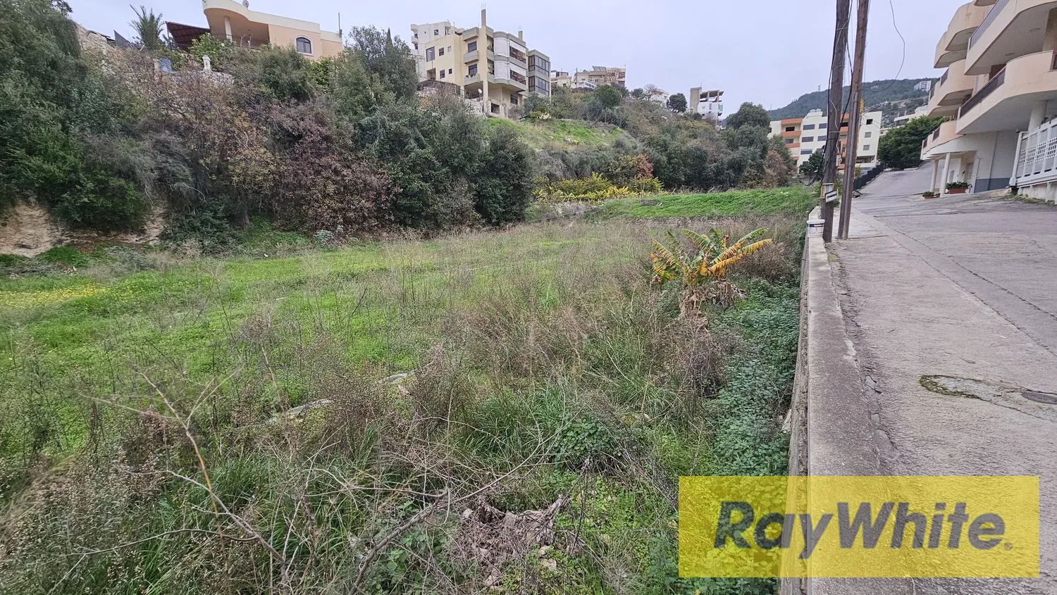 Prime Location Land For Sale In Safra With Sea View — photo 2