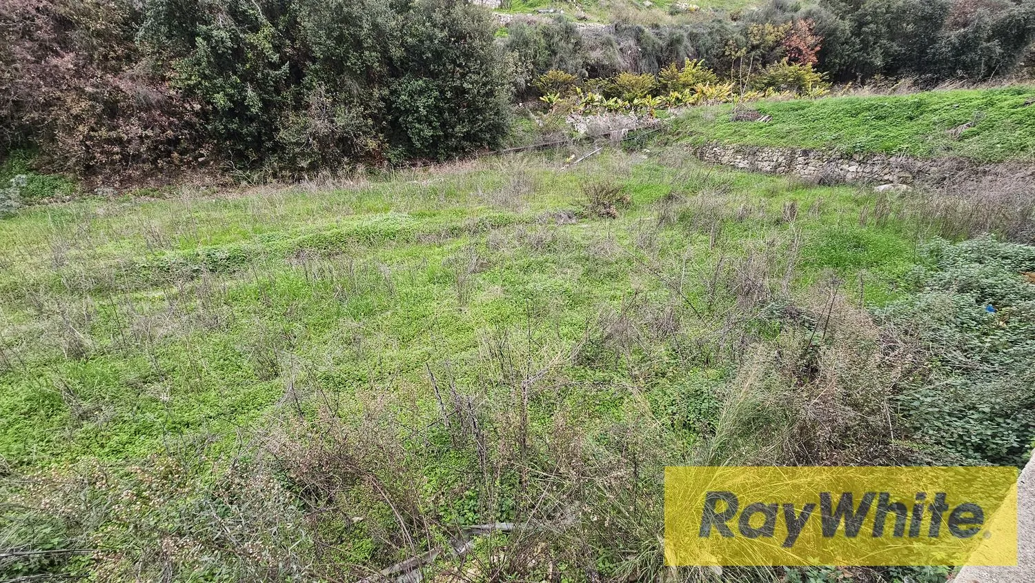 Prime Location Land For Sale In Safra With Sea View — photo 3