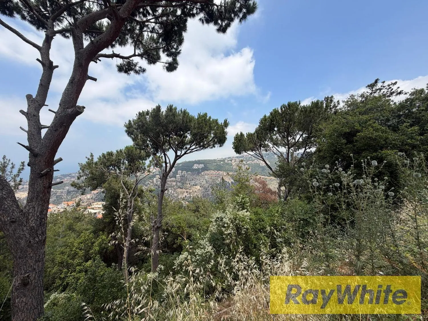 Land For Sale In Nabay |1,510 Sqm — الصورة 1