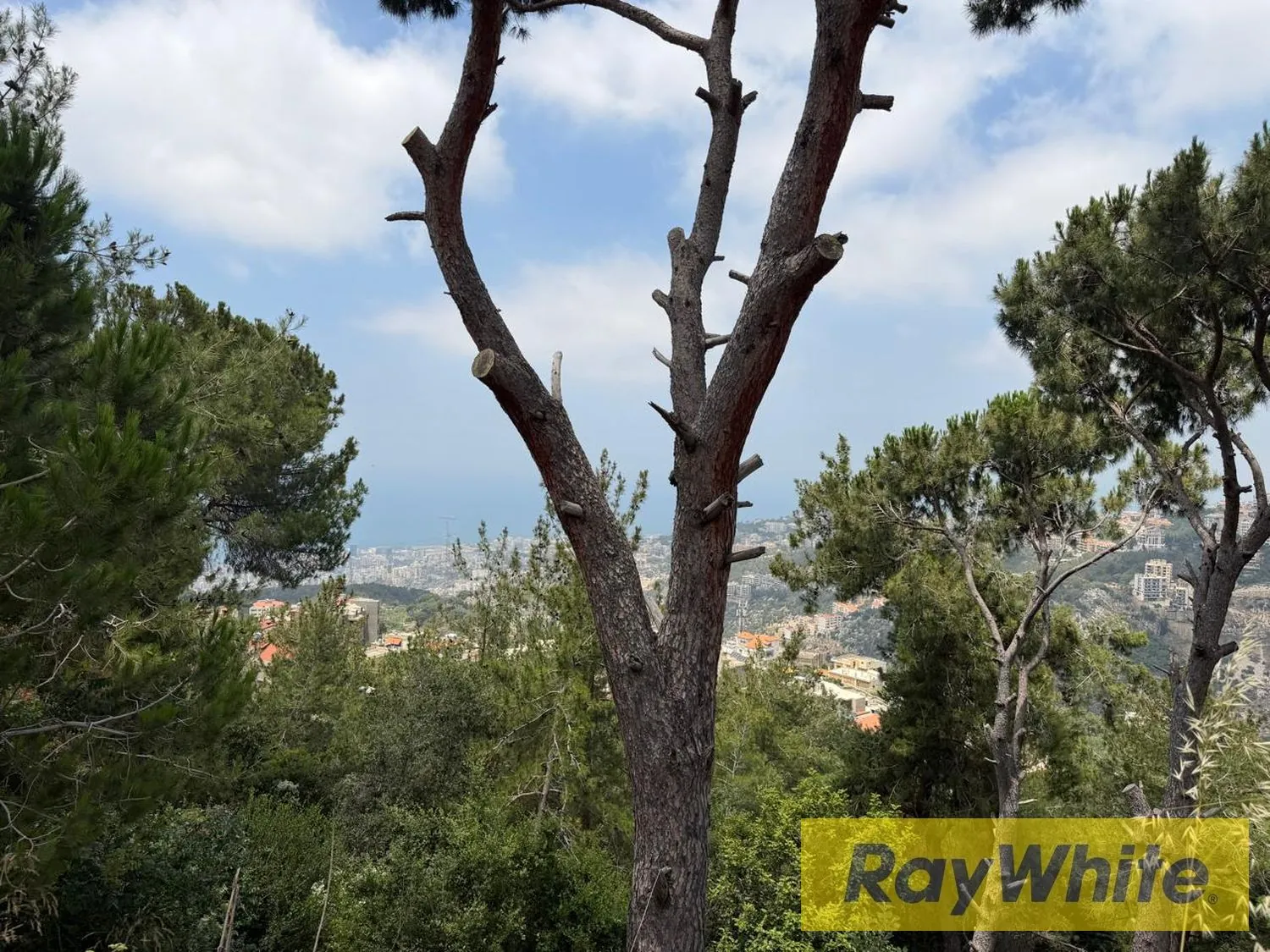 Land For Sale In Nabay |1,510 Sqm — الصورة 3