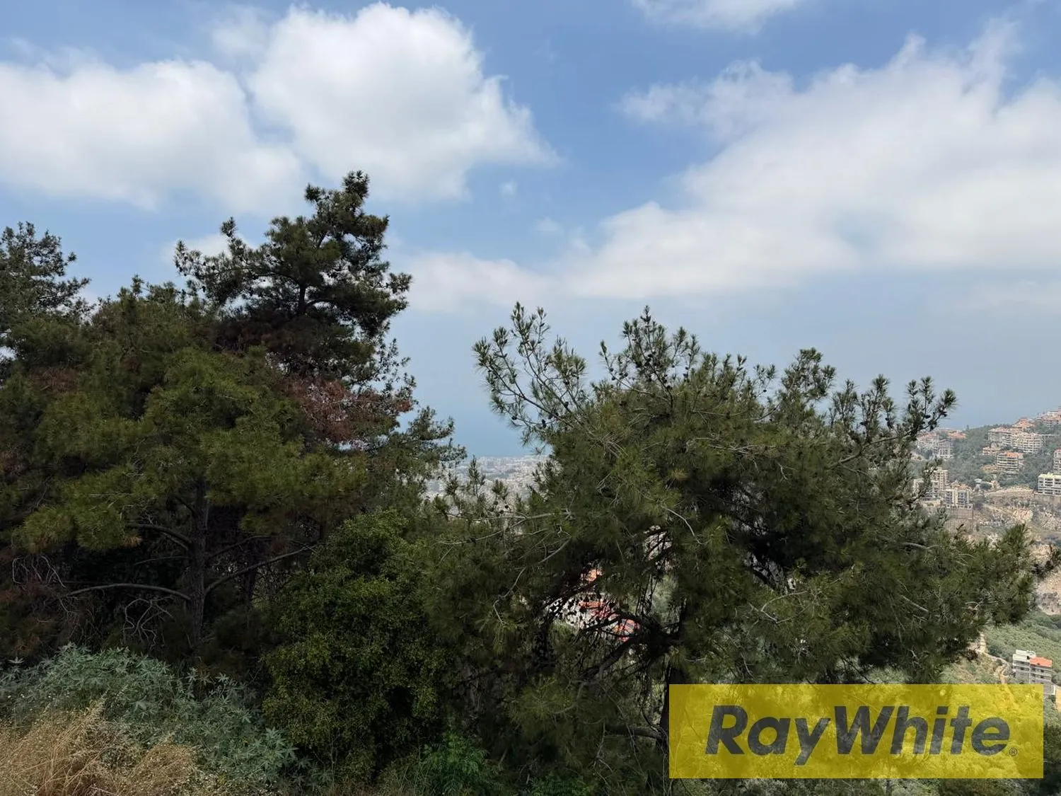 Land For Sale In Nabay |1,510 Sqm — الصورة 4