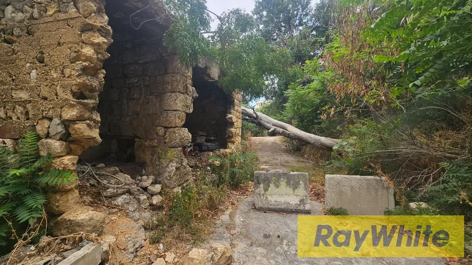 Land For Sale – 1,100 Sqm | Hadath – Baabda — الصورة 4