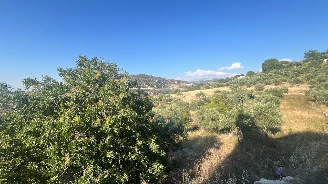 Land For Sale In Helta Batroun