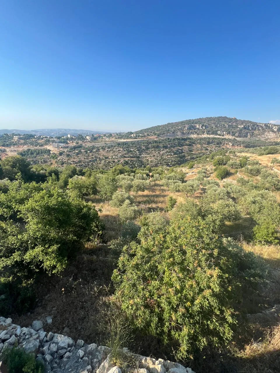 Land For Sale In Helta Batroun — الصورة 2