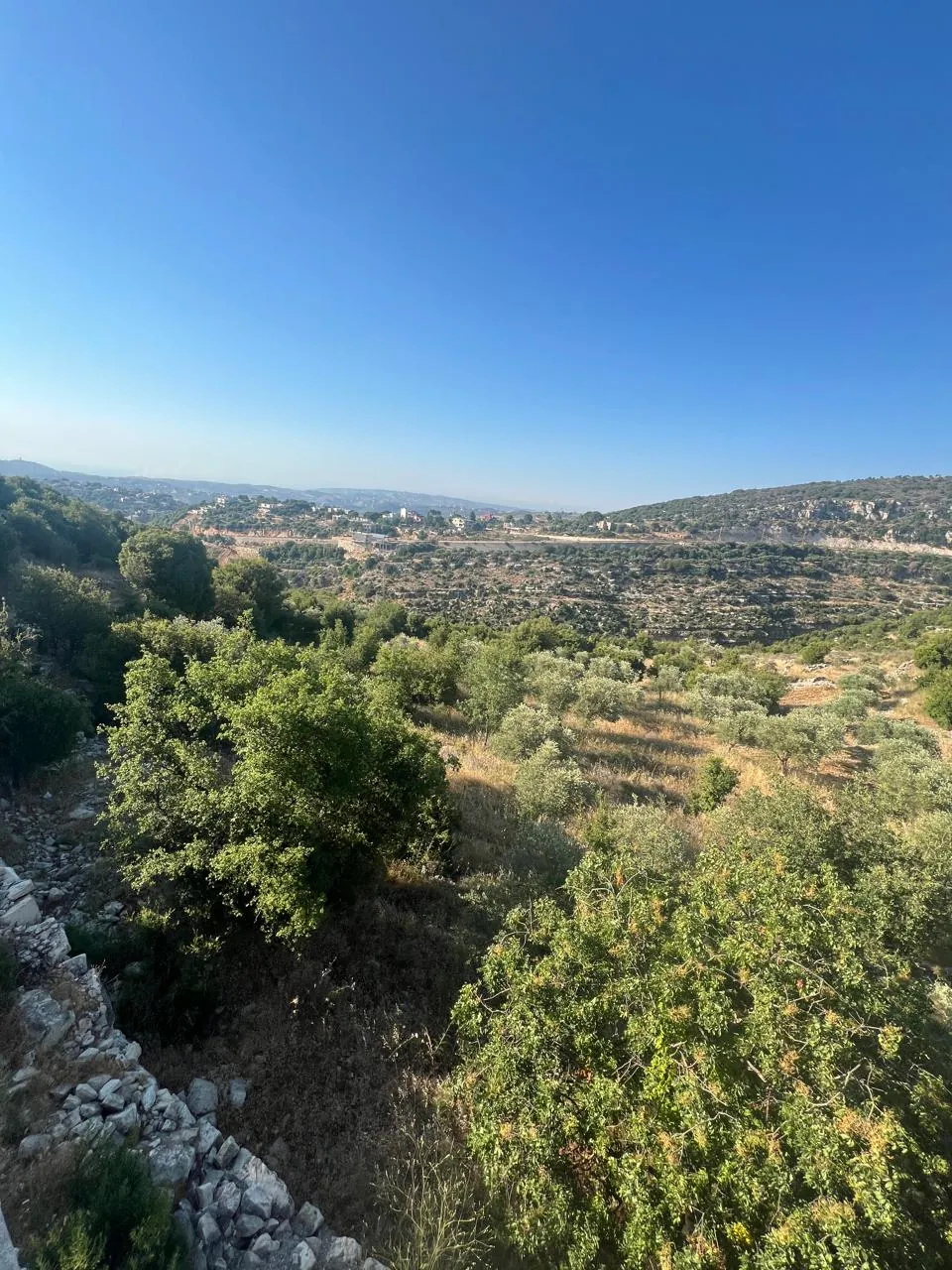 Land For Sale In Helta Batroun — الصورة 3