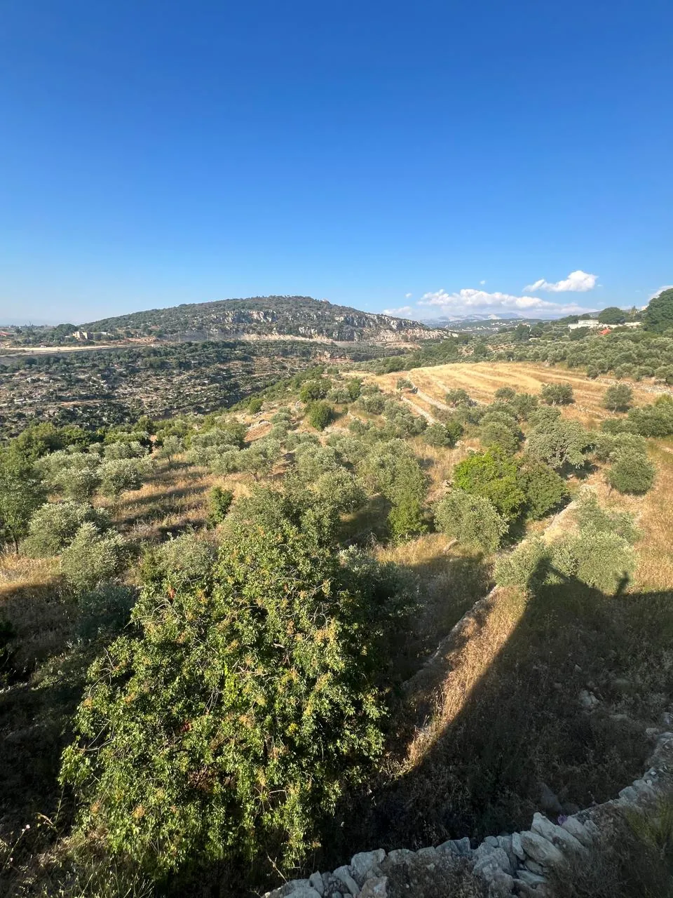 Land For Sale In Helta Batroun — الصورة 4