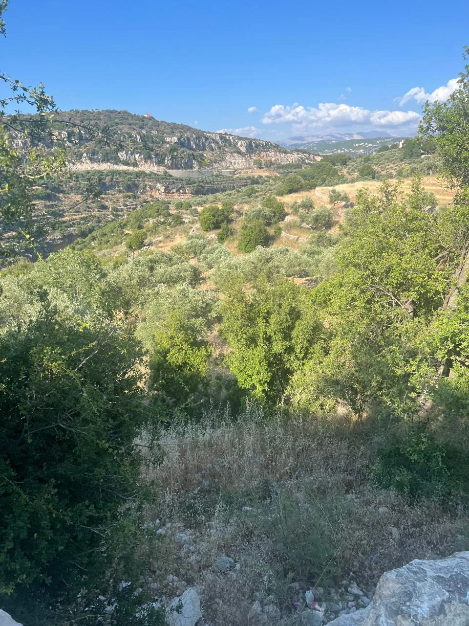 Land For Sale In Helta Batroun — الصورة 5