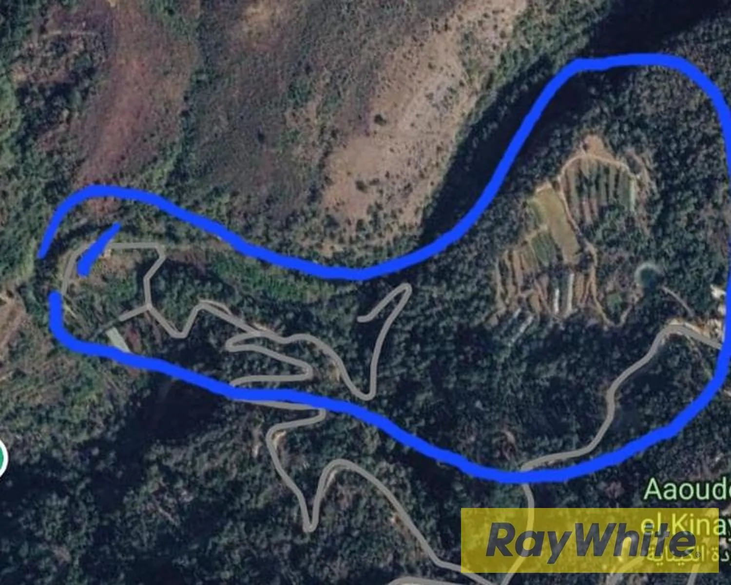 Land For Rent In Dmit , Chouf | Investment Opportunity — photo 3