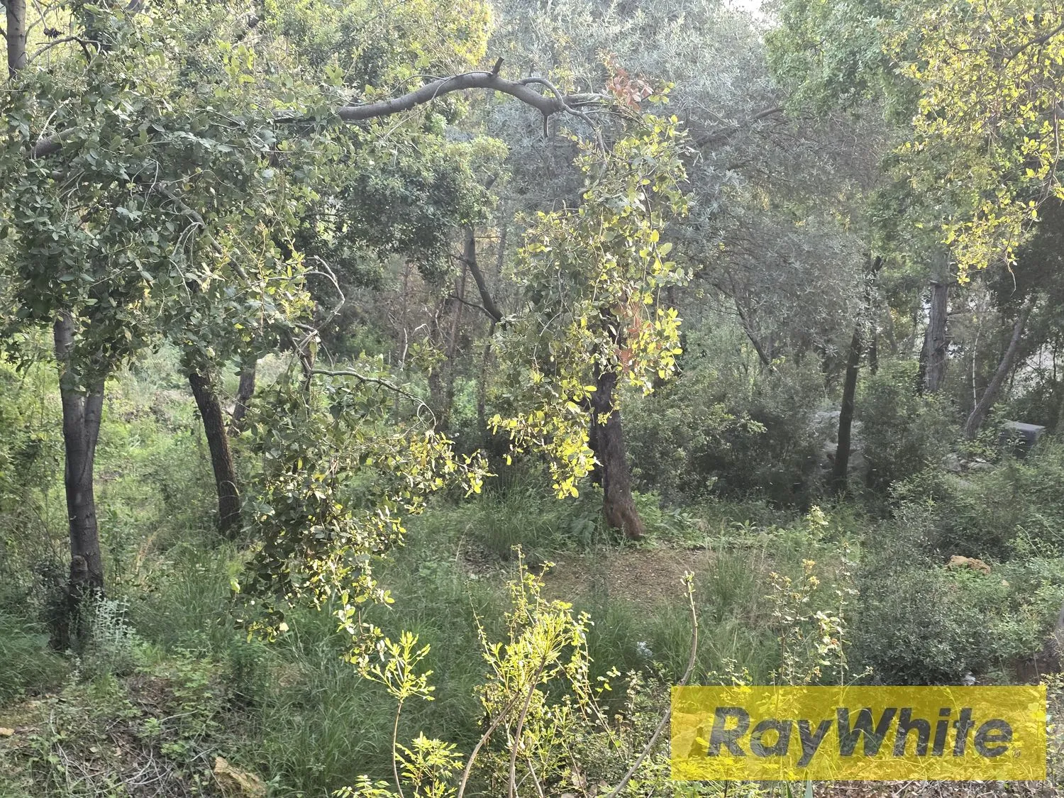 Land For Sale In Hbous, Cornet Chehwan – Prime Location — photo 2