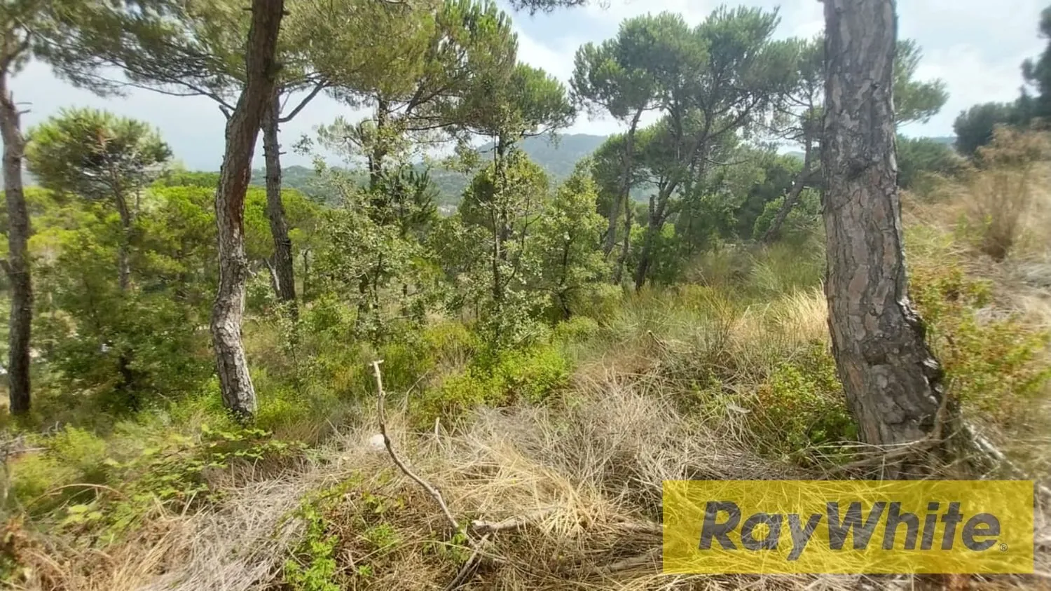 Land For Sale In Naas – Prestigious Location With Mountain View