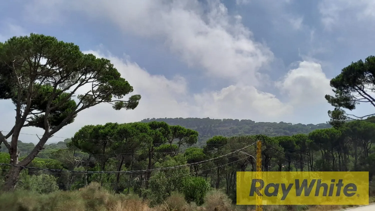 Land For Sale In Naas – Prestigious Location With Mountain View — photo 3