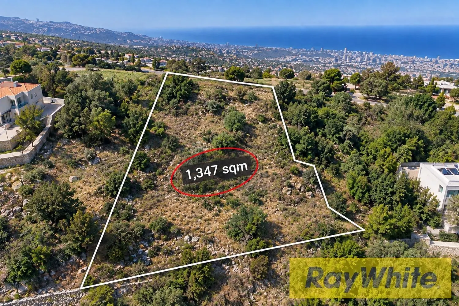 Prime Land For Sale In Daychounieh — photo 3
