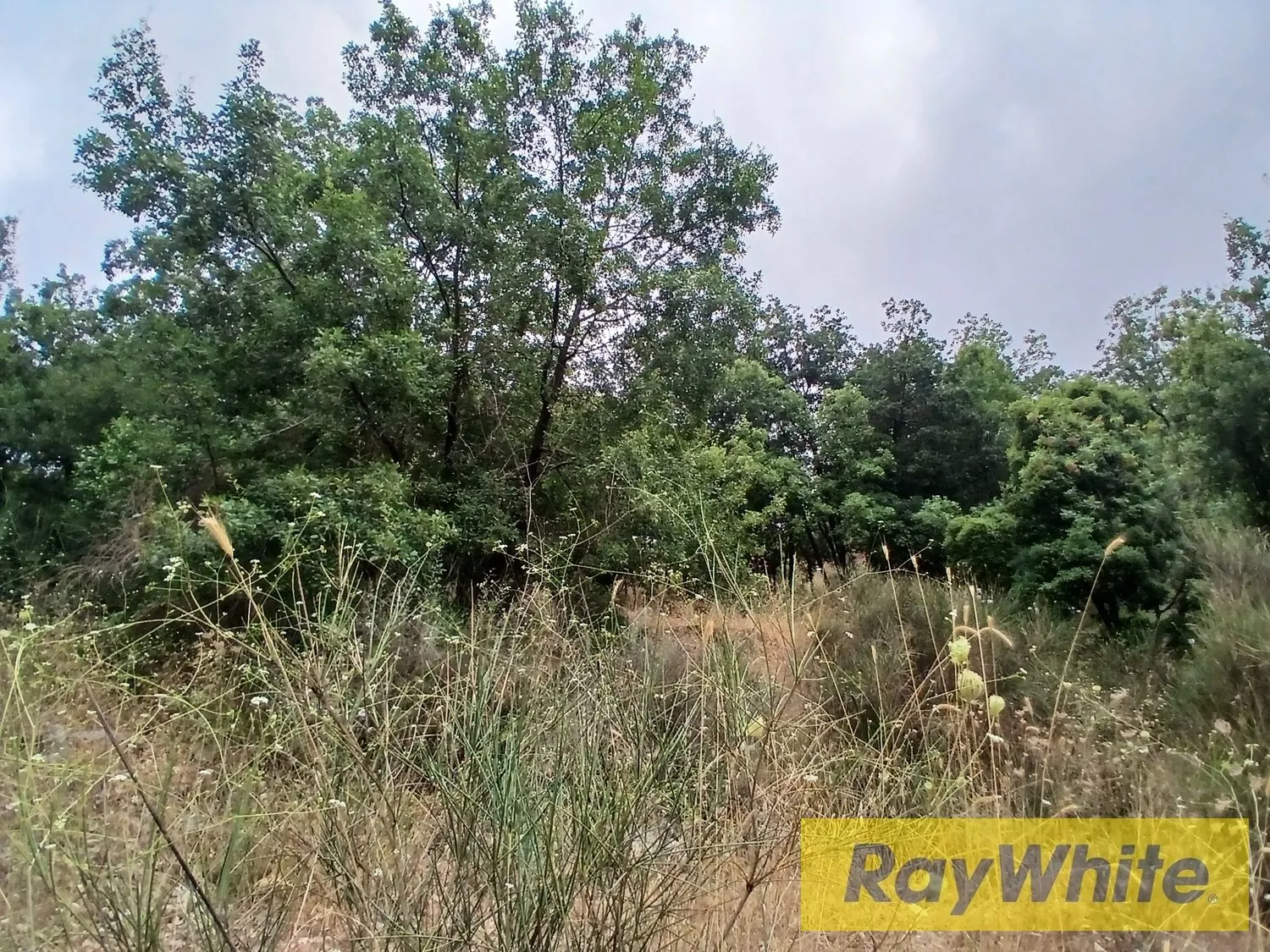 Land For Sale – Ain El Tefehha — photo 4