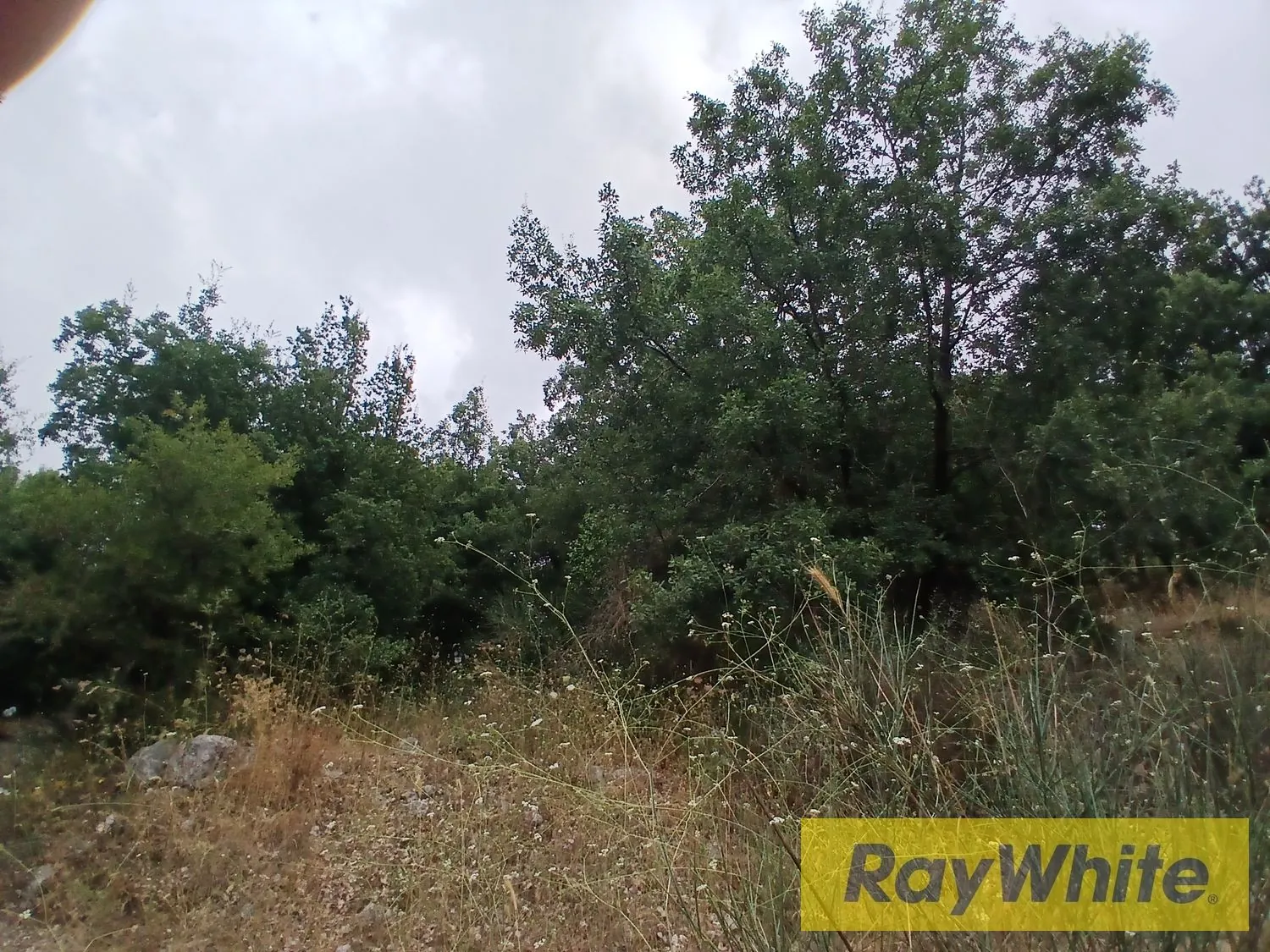 Land For Sale – Ain El Tefehha — photo 5