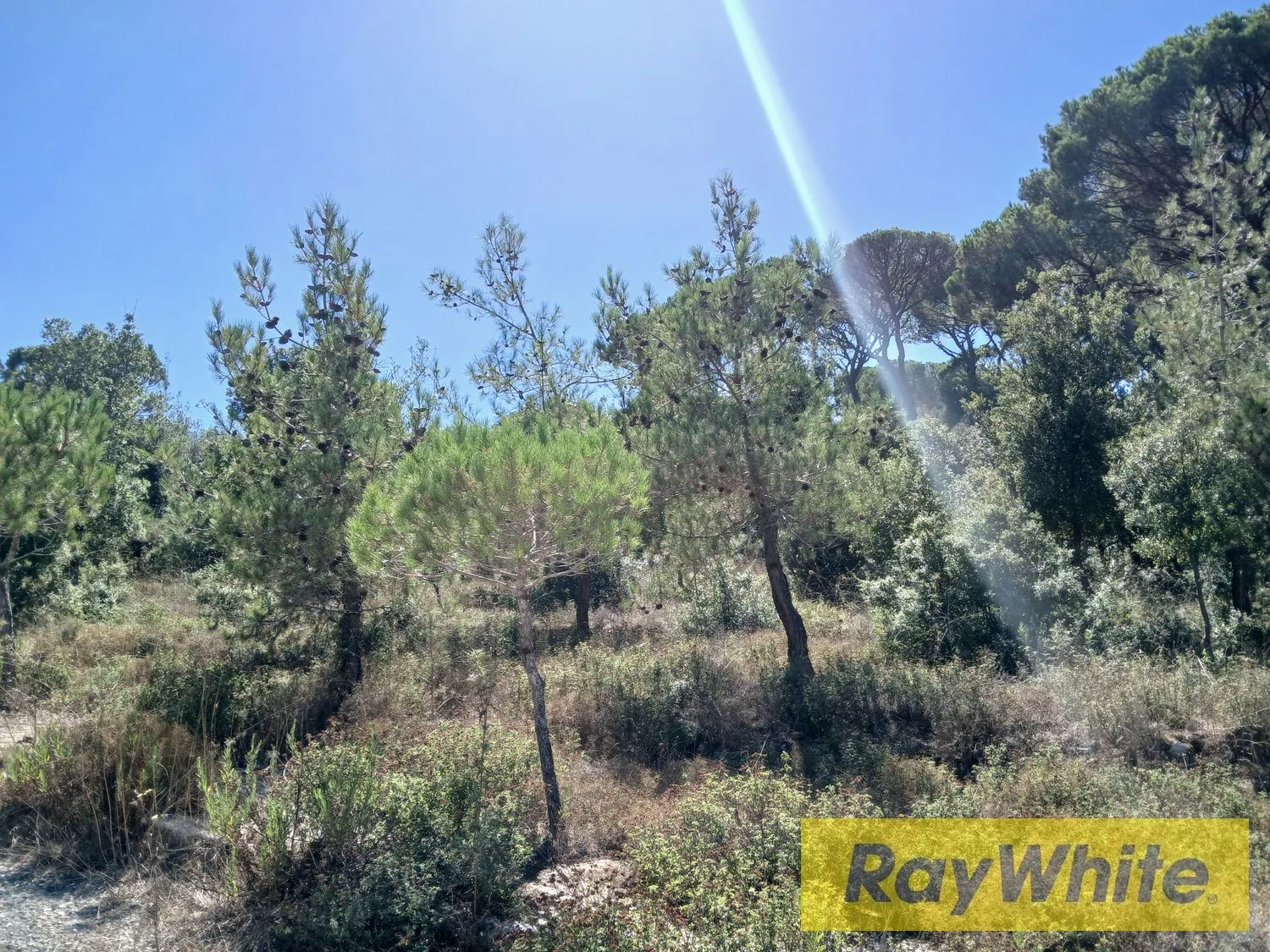 Land For Sale – Ras El Maten — photo 2