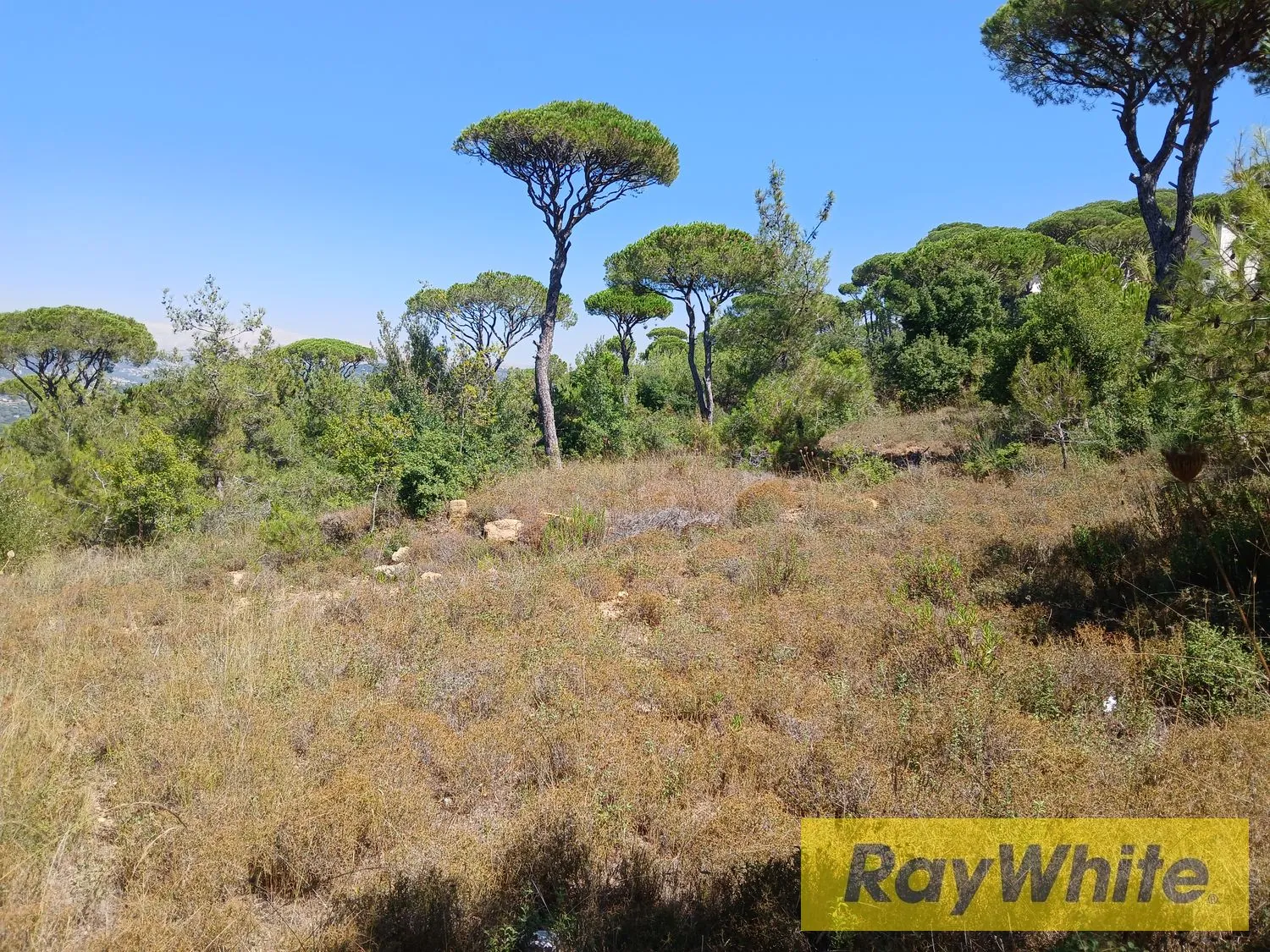 Land For Sale – Ras El Maten — photo 1
