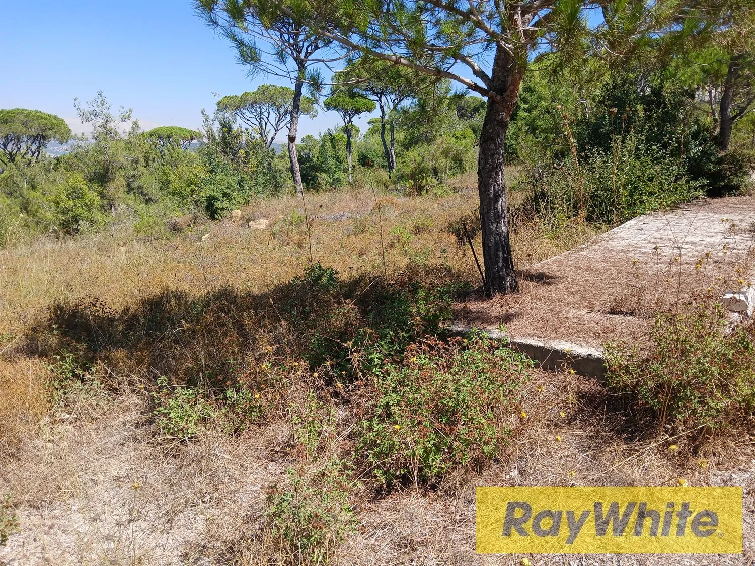 Land For Sale – Ras El Maten — photo 5