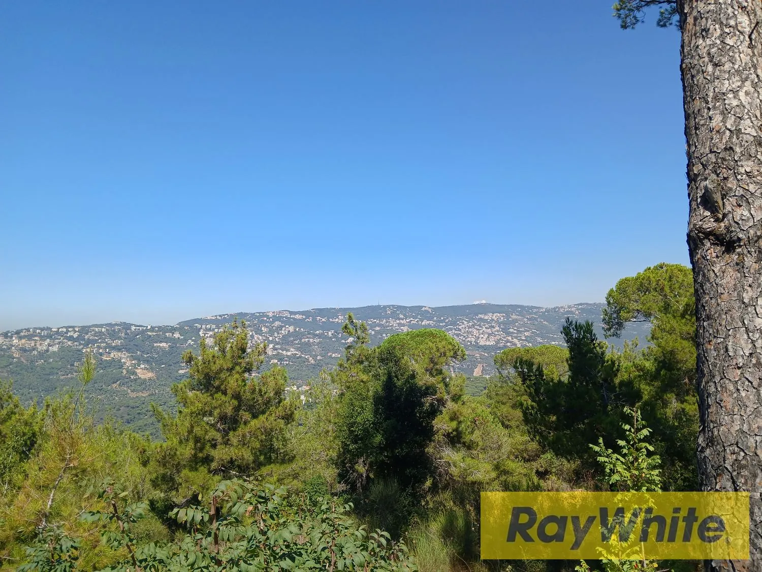 Land For Sale – Ras El Maten — photo 3