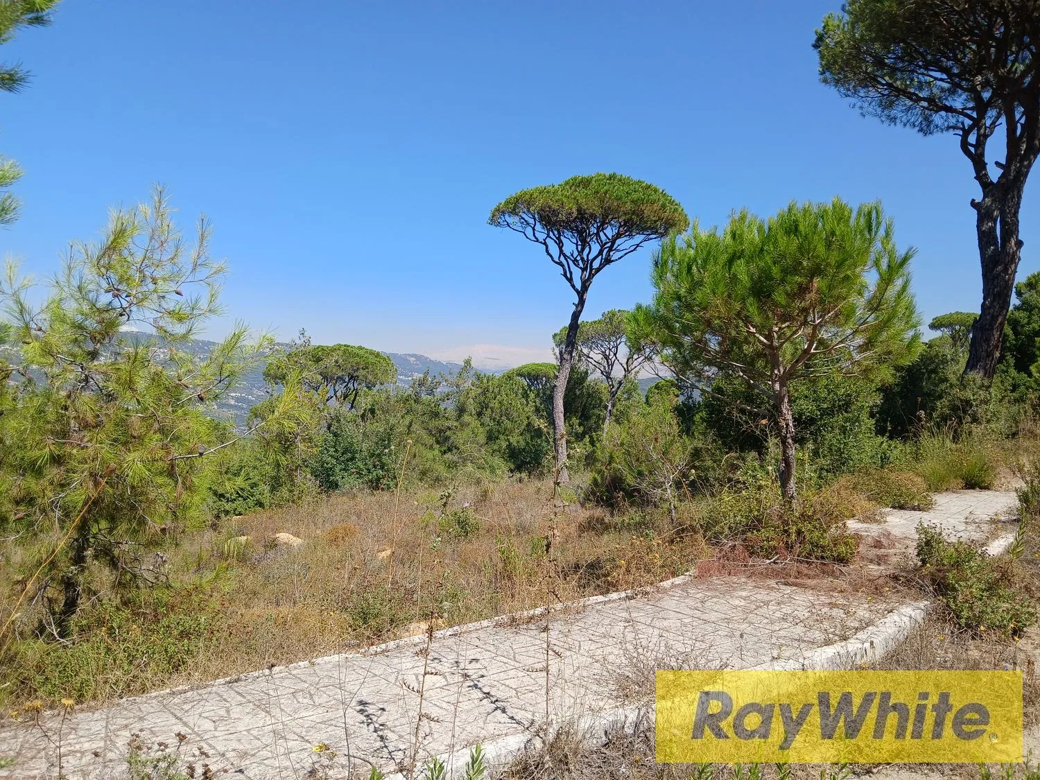 Land For Sale – Ras El Maten — photo 4