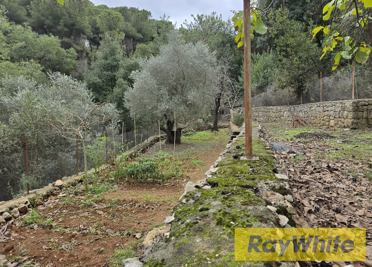 Catchy Deal – Land For Sale In Beit El Kiko, Cornet Chehwan