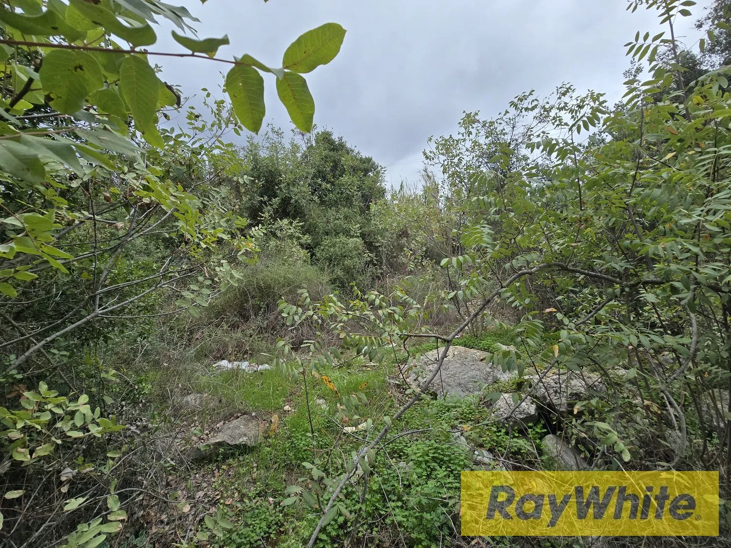 Land For Sale – Hbous, Cornet Chehwan — photo 3