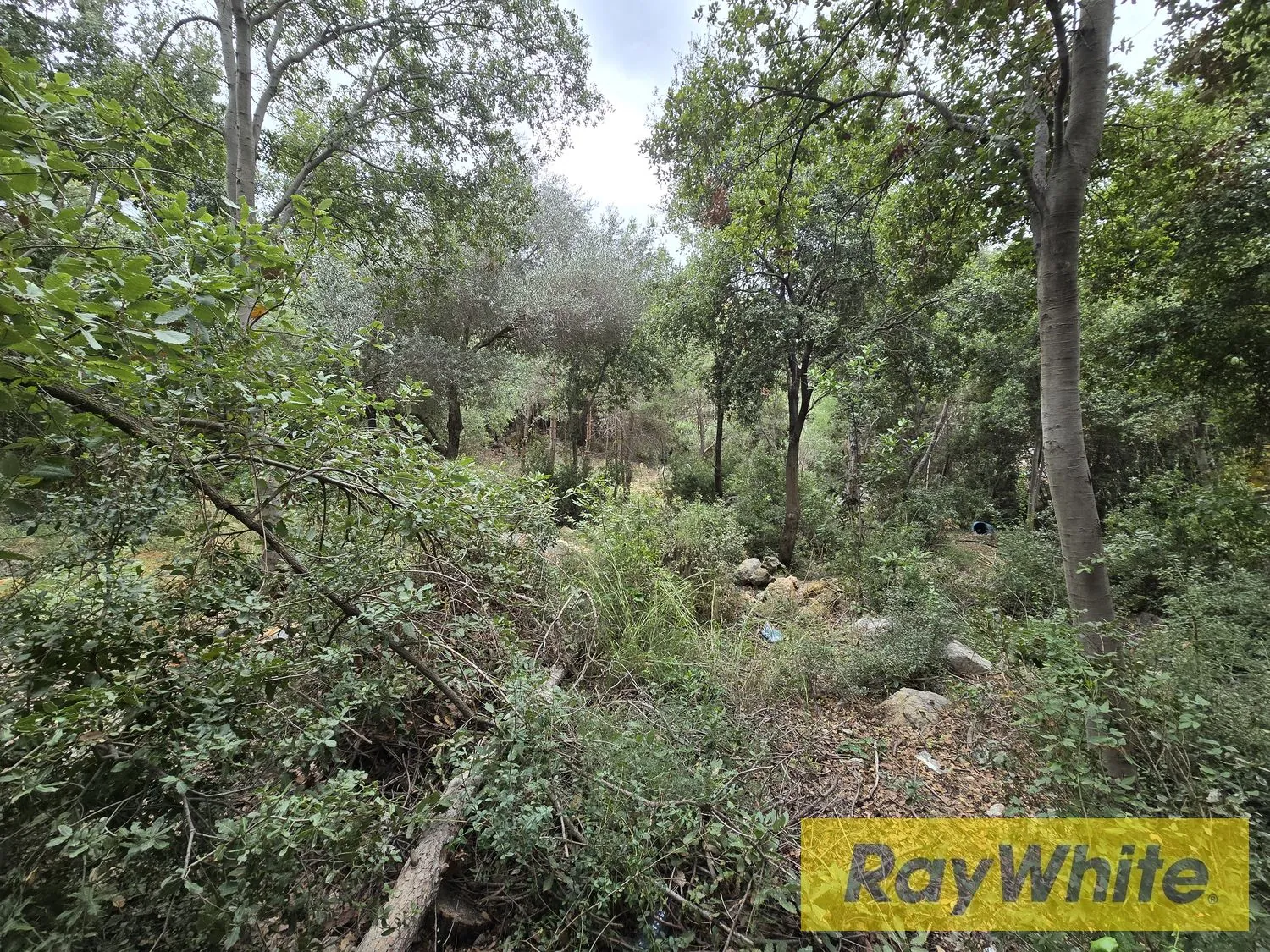 Land For Sale In Koneitre Beit Chabeb | Prime Location