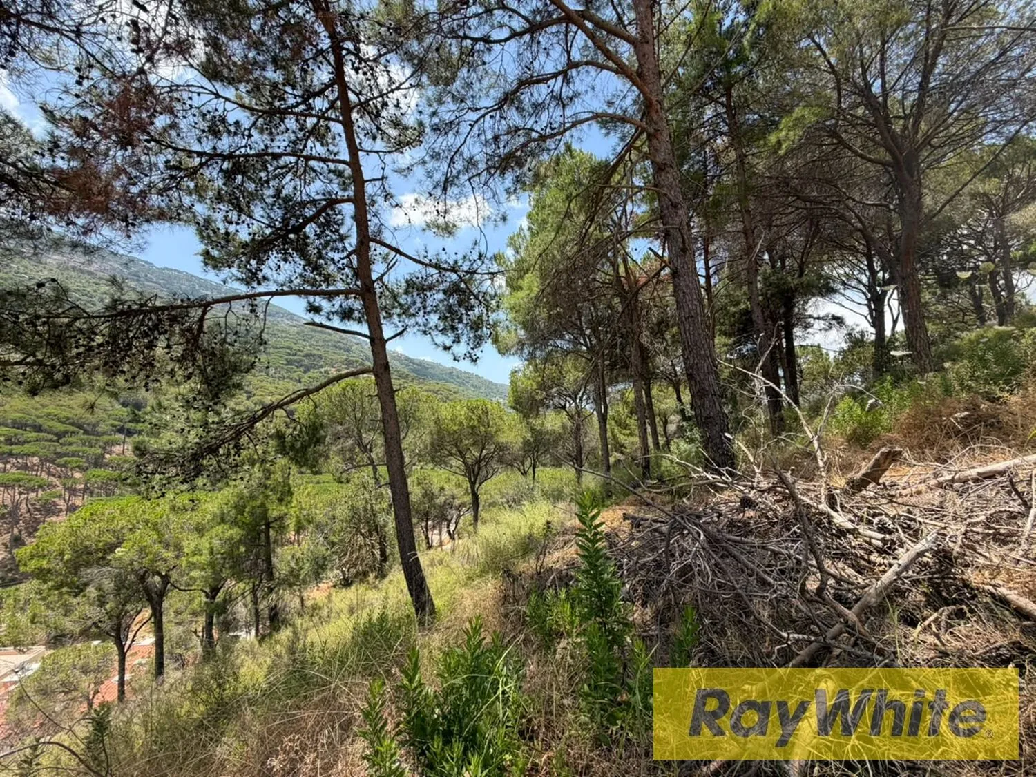 Land For Sale In Bsefrine | Mountain View — photo 3