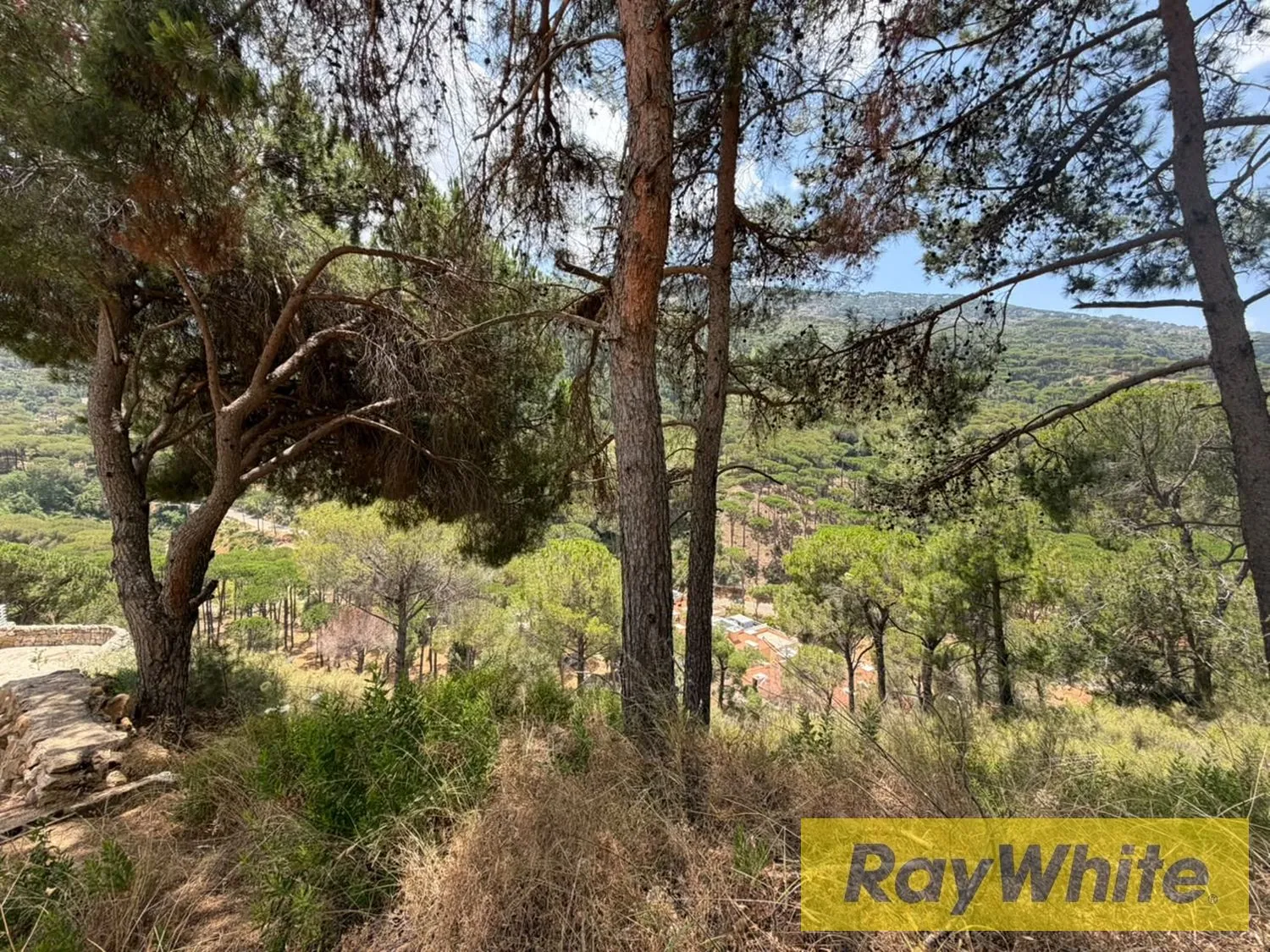 Land For Sale In Bsefrine | Mountain View — photo 5