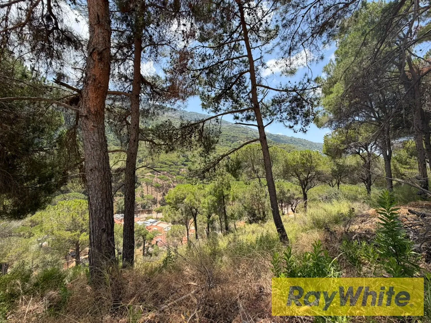 Land For Sale In Bsefrine | Mountain View — photo 2