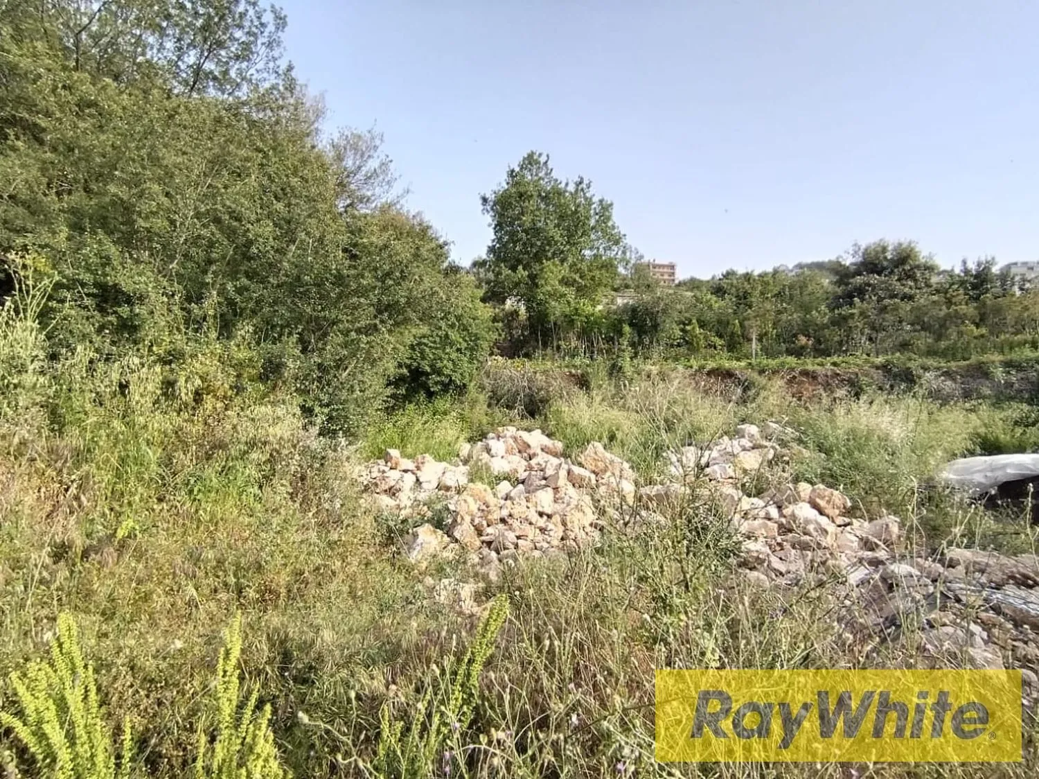 Land For Sale In Bickfaya | Panoramic View — الصورة 3
