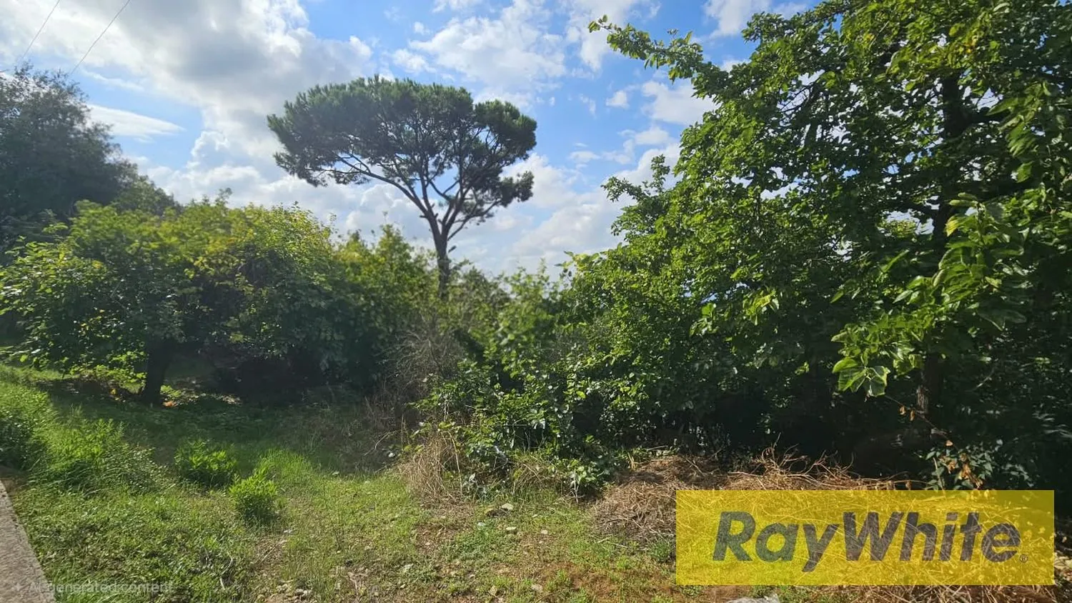 Land For Sale In Broumana | Prime Location — photo 4