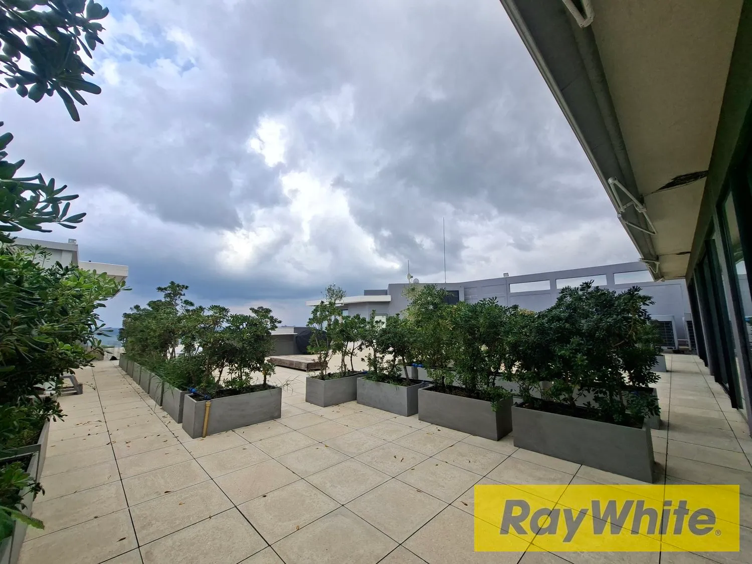 Exclusive Seaview Penthouse For Rent In Zalka | Full Details In Description — الصورة 3