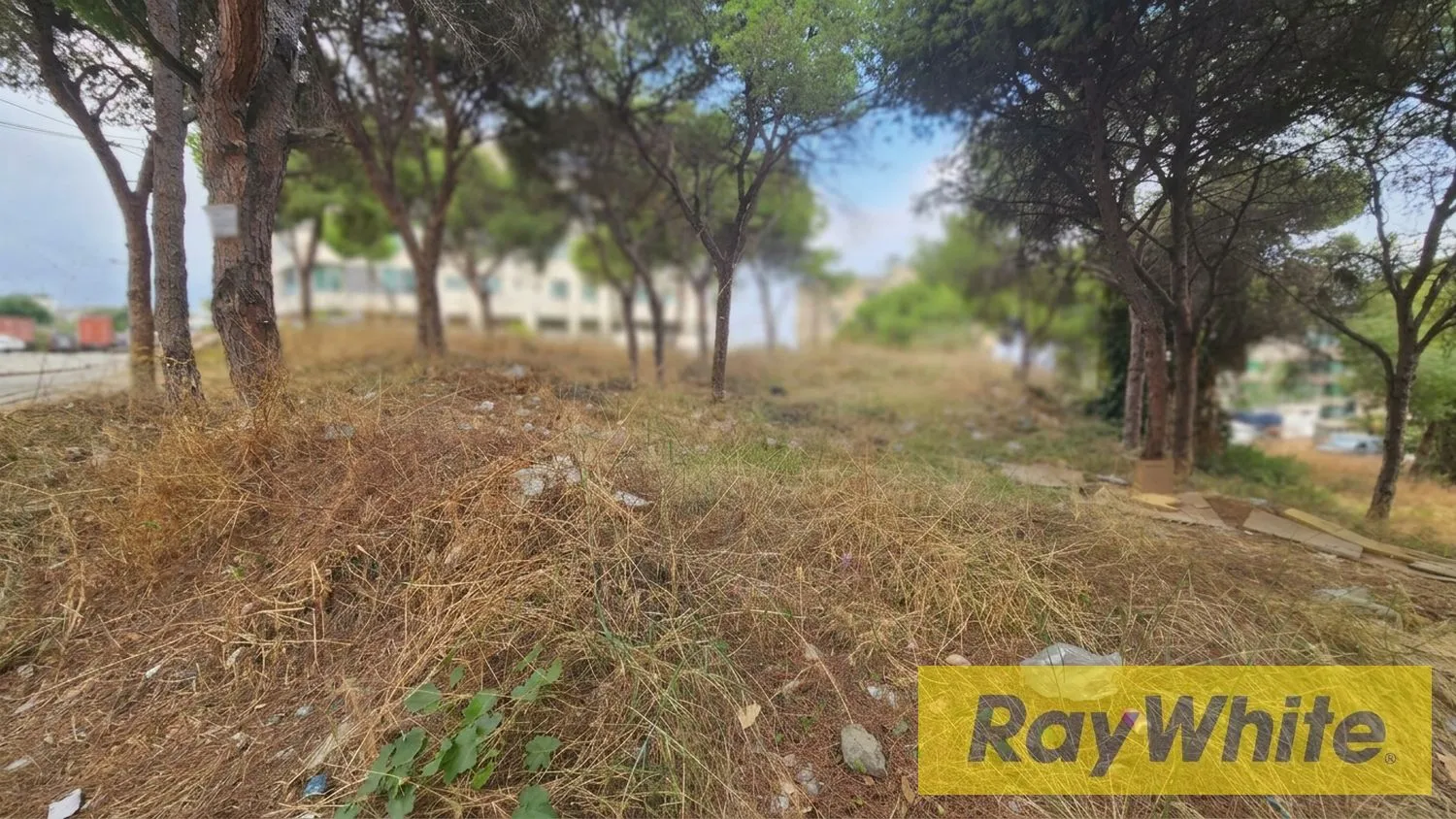 Land For Sale In Yarzeh — الصورة 3