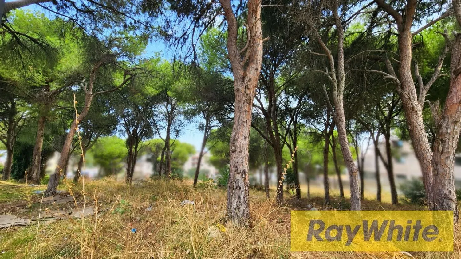 Land For Sale In Yarzeh — الصورة 5