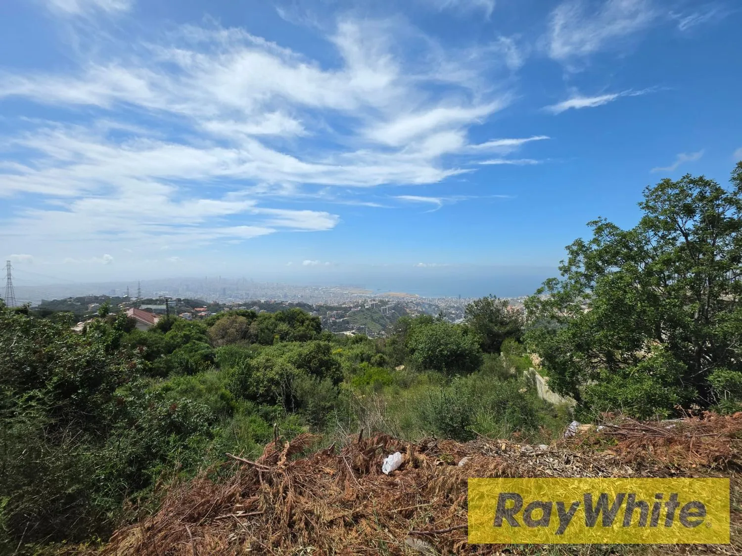 Land For Sale In Ain Saadeh, Raai Saleh | Prime Location — photo 2