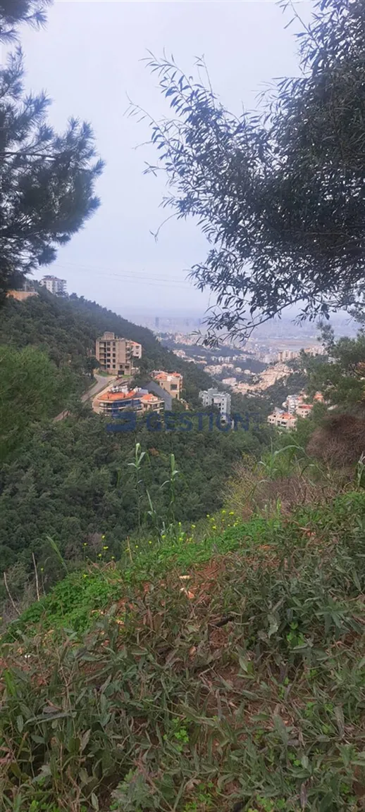 Land for Sale in Bayada — photo 2