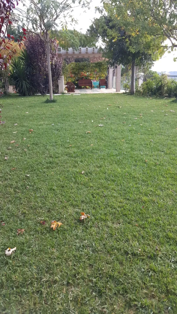 Villa Individual House for Sale in Beit Mery — photo 5