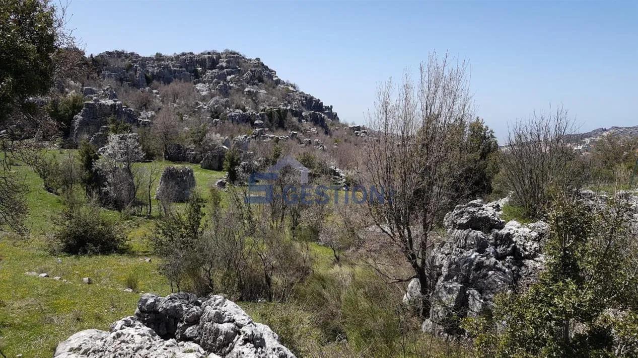 Land for Sale in Feytroun — الصورة 2