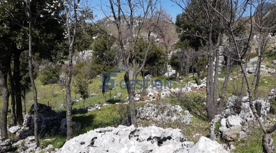 Land for Sale in Feytroun — الصورة 4