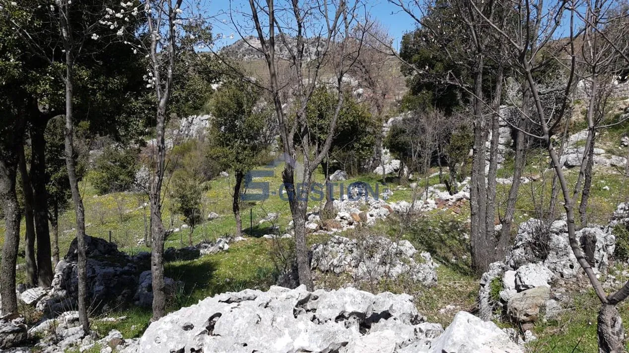 Land for Sale in Feytroun — الصورة 5