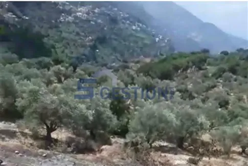 Land for Sale in Deir El Amar — photo 2